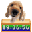 Cute Puppy Clock 1.2.9 32x32 pixels icon