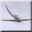 Flight for Fight 1.19.186 32x32 pixels icon