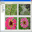 ImageCD Catalog 3.2 32x32 pixels icon