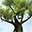 Magic Tree 3D Screensaver 1.02.5 32x32 pixels icon