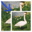 PictureScaler 1.6.0 32x32 pixels icon
