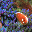 Tropical Sea Life DesktopFun Screen... 3.0 32x32 pixels icon