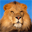 Free Lions Screensaver 1.0 32x32 pixels icon