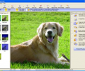 Photolightning photo software Screenshot 0
