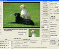 Viscomsoft Image Viewer CP Pro SDK Screenshot 0