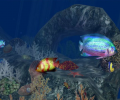 3D Aquatic Life Screensaver: Fish! Screenshot 0