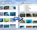 SortPix XL - photo organizing software Screenshot 0
