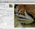 PhotoZoom Classic for Mac Screenshot 0